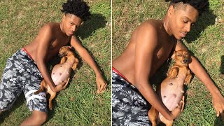 Pregnant Pooch Strikes A Pose 'Like A Little Model' In Maternity Photo Shoot