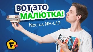 Обзор системы охлаждения для процессора Noctua NH L12 ✔ Компактный кулер для компактного корпуса!