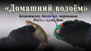 "Домашний водоём" - Безмотылка, балансир, мормышка с мотылём. Окунь, щука, ёрш.