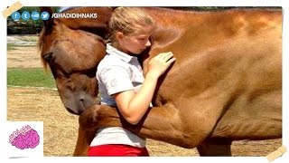 حيوانات قامت بإنقاذ حياة أشخاص بشكل عجيب..!!