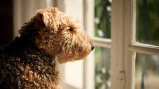 Abraham-Hicks:  Happily Observing Unhappiness?