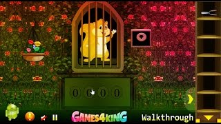 G4K Squirrel Escape 2 walkthrough Games4King.