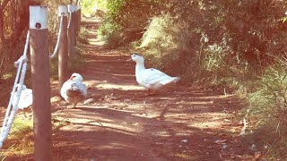 Vídeo resum de la jornada Platges sostenibles, a Torredembarra