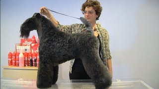 PELUQUERIA CANINA - KERRY BLUE TERRIER REALIZADO POR ARTERRIERS