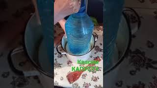 Как мы За КВасили Капусту