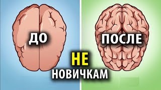 Лучшие Ноотропы для Опытных Юзеров