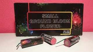 Small Ground Bloom Flower | GBV-WECO | Lidl