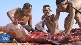 Hunters and Predators of the Planet - Part 4