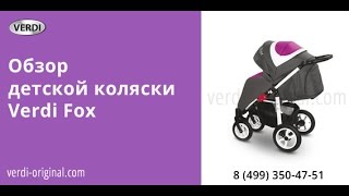 Обзор детской коляски Verdi Fox
