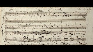 Concerto Del Vivaldi Il Sospetto / RV 199 in C minor (Autograph score)