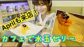 【한글자막】江南のカフェで気になってた水玉ゼリー食べたよ。(Meet Fresh)