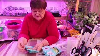 ТАКОГО ВЫ ЕЩЕ НЕ ВИДЕЛИ! САМЫЙ ПОДРОБНЫЙ ОБЗОР СЕМЯН 06.02.20