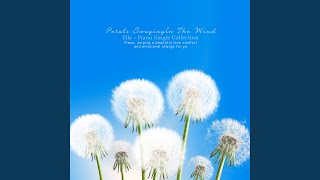 바람에 흔들리는 꽃잎 (Petals shaking in the wind)