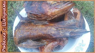 Щука горячего копчения. Рецепт копчения щуки