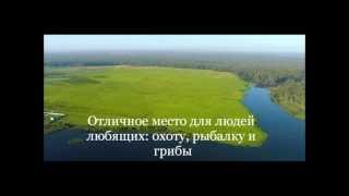 Московская область, Чеховский район, Сельское поселение Стремиловское, в районе деревни Филипповское
