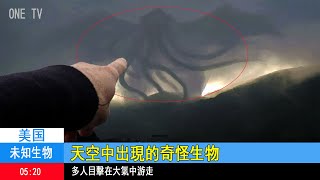 【未知生物系列01】神秘發現，遊走于天空中的大氣生物