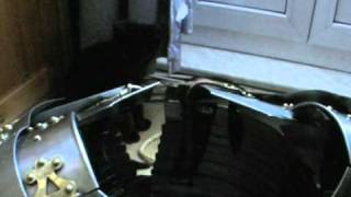 Lorica segmentata armored cat
