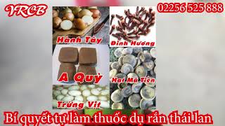 Chia sẻ cách làm thuốc dụ rắn bí truyền của Thái Lan hiệu quả