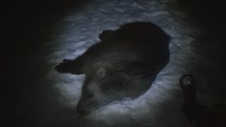 Охота на кабана:засидка-2
