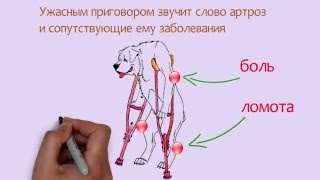 Создание рисованного (дудл) видео. Benyvet