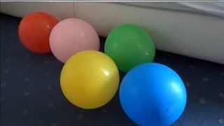 Učenje boja za djecu s balonima!