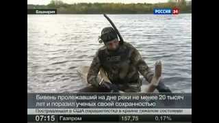 Подводная охота. В Башкирии найден бивень мамонта