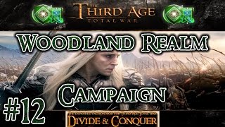 Third Age Total War: Divide and Conquer v1.01 - Woodland Realm Campaign [#12]