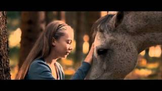 Film pour enfants : Le cheval de Klara