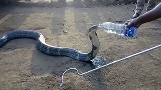 لن تصدق ماستراه ــ مقاطع فيديو رائعة !!!