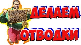 КАК УВЕЛИЧИТЬ ПАСЕКУ?Как сделать отводок пчел?Быстрое розширение пасеки?