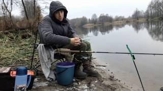 Бесклевье. Ловля Фидером Зимой. Беларусь, р. Мухавец.