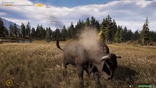 Far Cry 5: Коровы (Прохождение PS4 Pro)