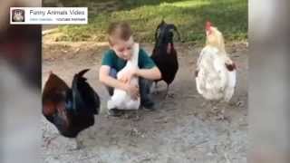 Baby and Chicken 2015 / ბავშვი და ქათამი / bavshvi da qatami