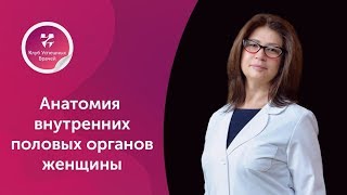 Анатомия внутренних половых органов женщины. Оперирующий гинеколог. Ольга Орлова. Москва.