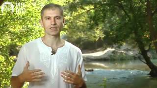 Йога для начинающих бесплатно