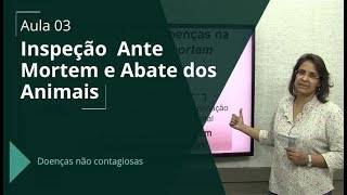 Concurso Veterinário: Inspeção  Ante Mortem e Abate dos Animais - Aula 03/10