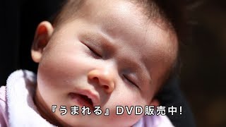 映画「うまれる」予告編