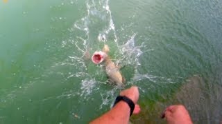 Pesca de lucio con cucharilla Mepps lusox brochet