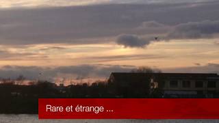 2 soleils dans le ciel de Paris  - rare ! 2 suns in Paris