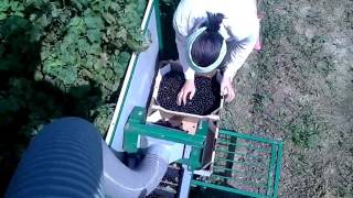 Комбайн для уборки черной смородины. berry harvester