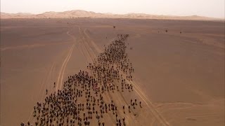 31ème MARATHON DES SABLES 2016 : le film