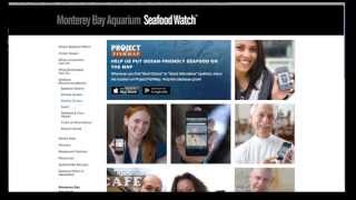 What You Can Do Presents: Seafood Watch Program