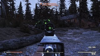 Fallout 76: Где найти медозверя ?