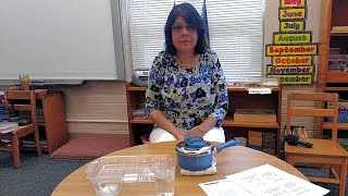 Demonstrating Solid, Liquid and Gas with Water