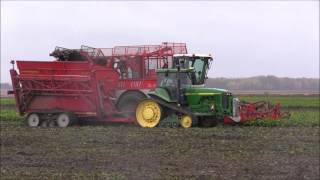 2013 Sugar Beet Harvest Mark Shaw