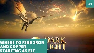 Dark and Light: Where to find Iron and copper starting as Elf