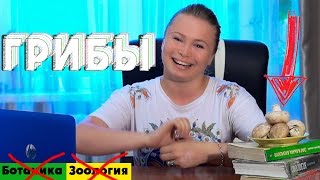 Царство Грибы. Урок биологии №76.