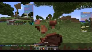 Mineplex- The Bridges #1