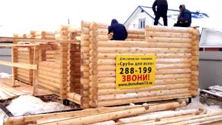 Этап сборки сруба бани из ОЦБ в п  Московски г Тюмень