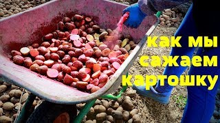 ПОСАДКА КАРТОФЕЛЯ В 21 ВЕКЕ! ПРОСТОЙ И БЫСТРЫЙ СПОСОБ